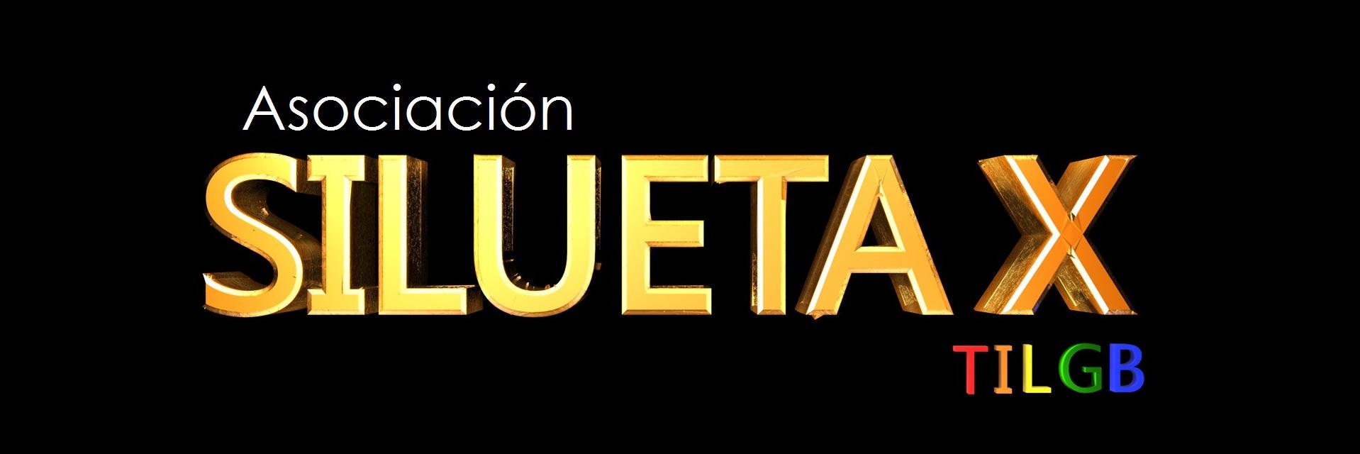 Siluetax Ambato banner