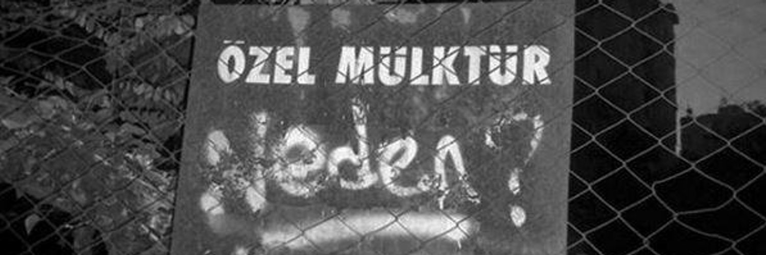 ezgiarikk's profile banner image