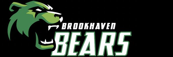Brookhaven Baseball Profile Banner