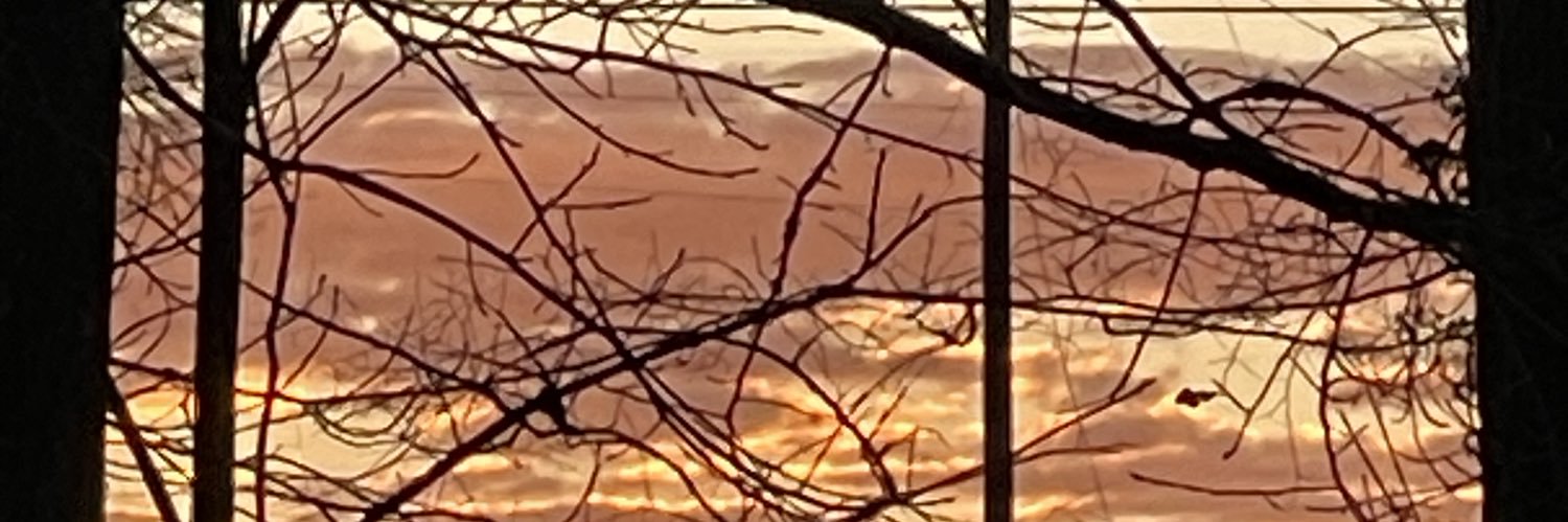 SchenectadyYank's profile banner image