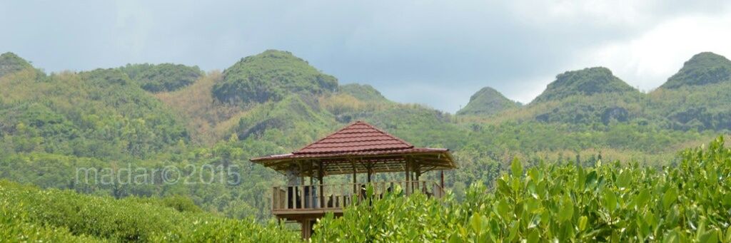 Kangmadar's profile banner image