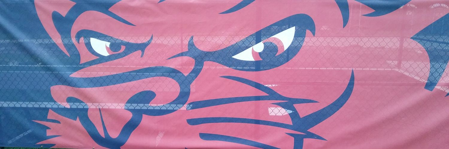 Cleary Baseball banner