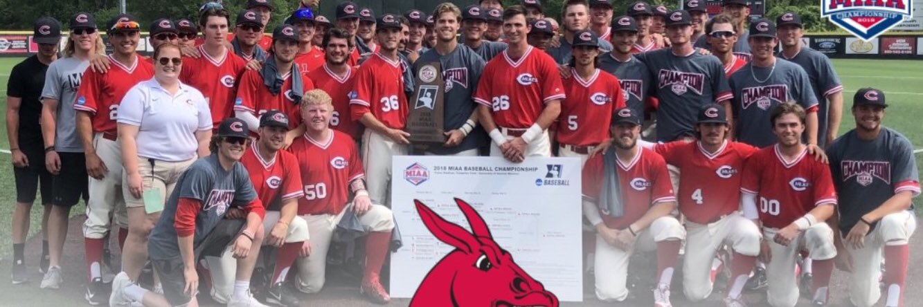 Charlie Skantze banner