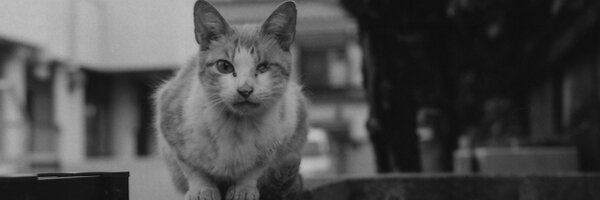 ItEdoke Profile Banner