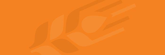 CountryJunctionFeeds banner