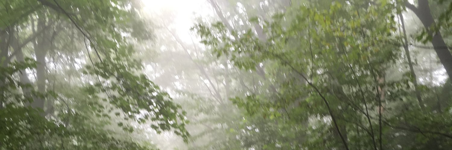 zzzzsofia's profile banner image
