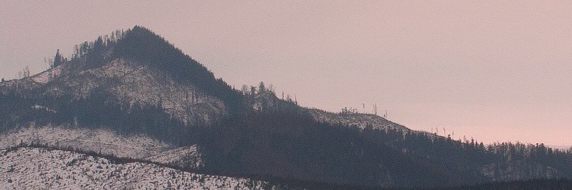 GIFTpoly's profile banner image
