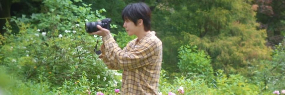 sunflwrhannie's profile banner image