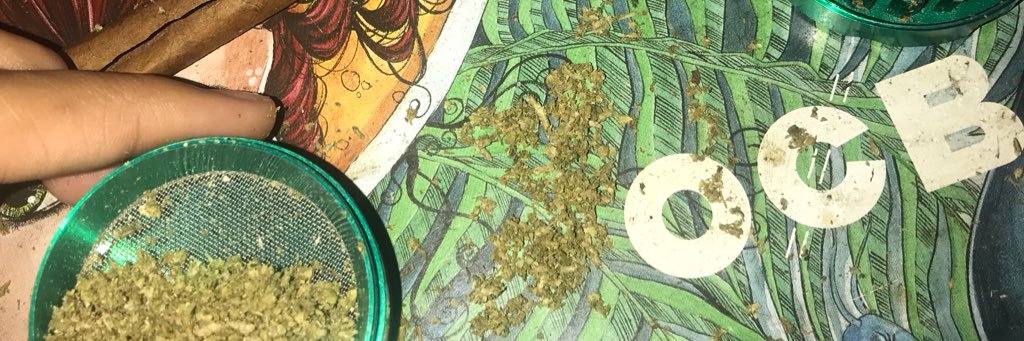 tsunade_lexi's profile banner image