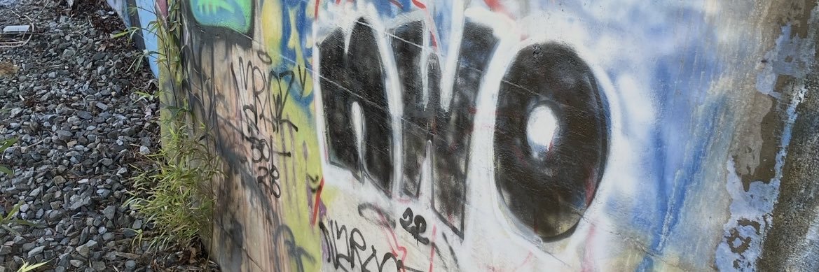 raqzbaby's profile banner image
