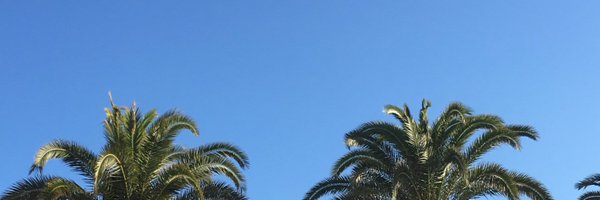 David__Fraser Profile Banner