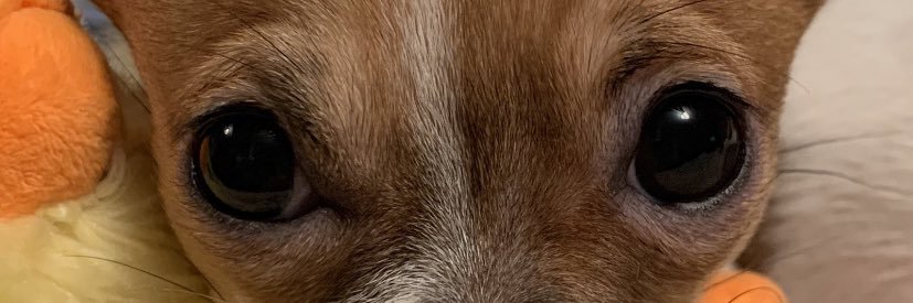 FrancoClarke's profile banner image