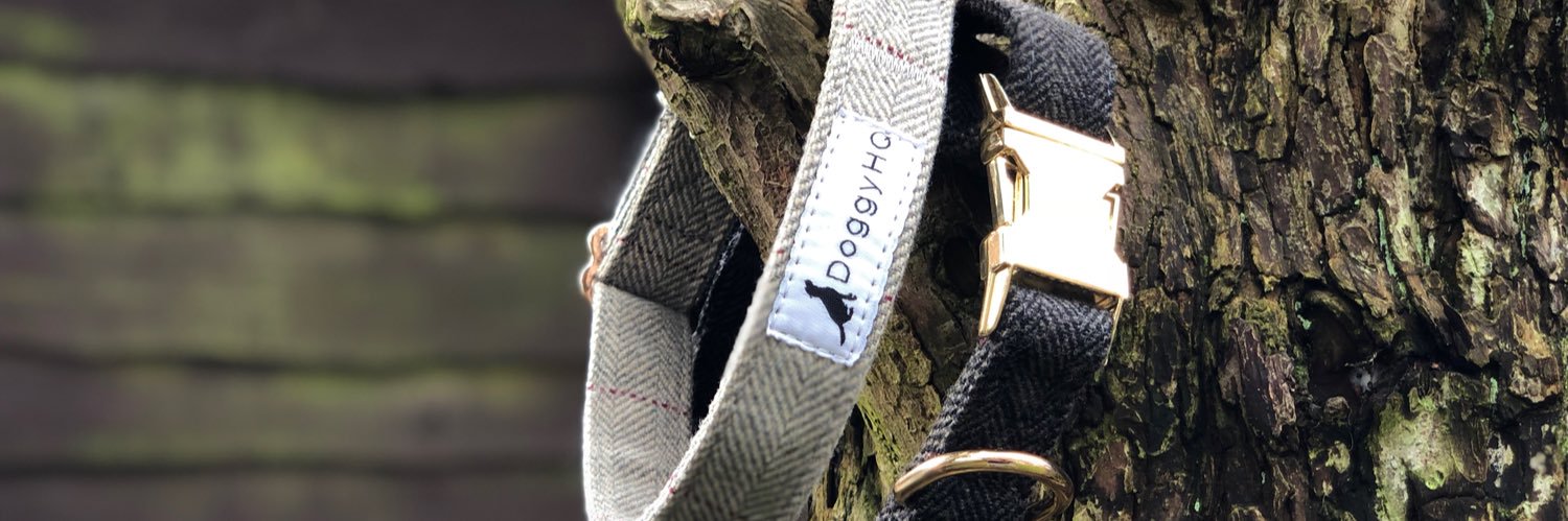 DoggyHQ's profile banner image