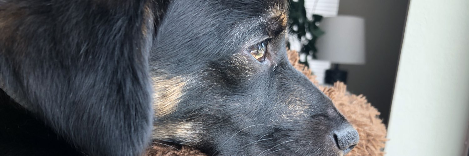 nug__'s profile banner image