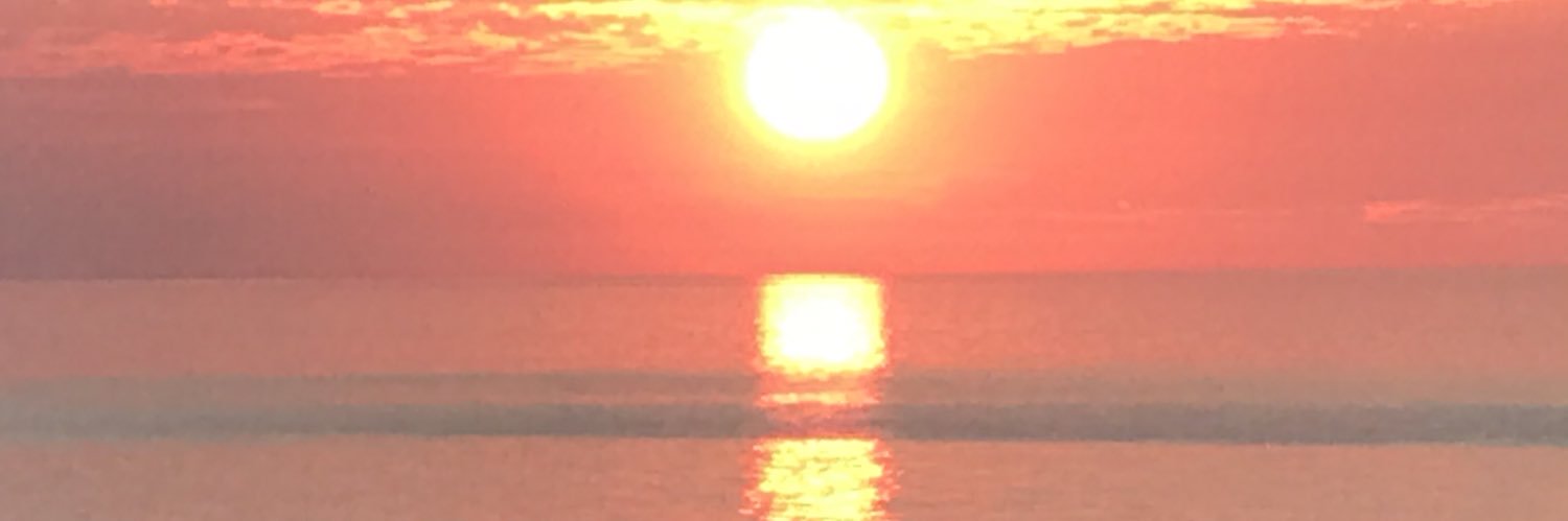 Tigs369's profile banner image