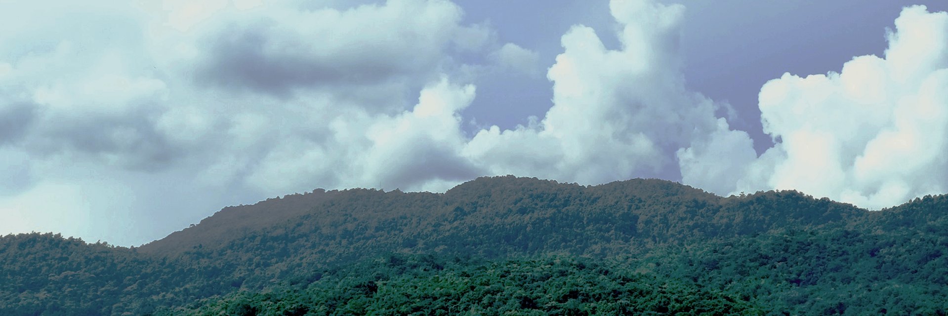 svetothefool's profile banner image