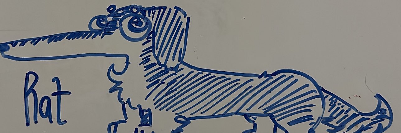 neckhoIe's profile banner image