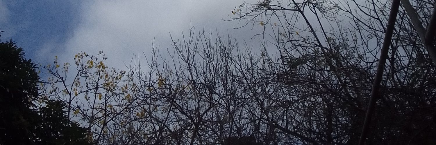 nathyrd_'s profile banner image