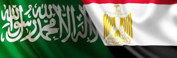 elhadad2003's profile banner image
