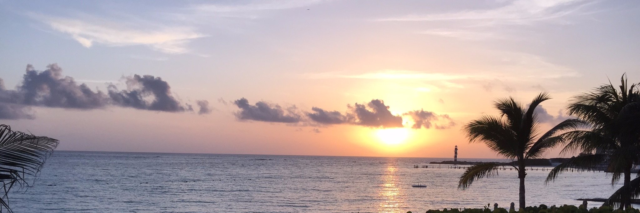 MsmithMonique's profile banner image