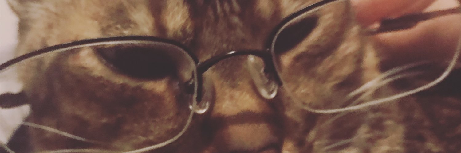 sekitsuki's profile banner image