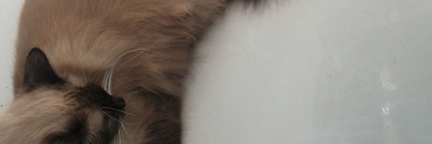 SedanJorge's profile banner image
