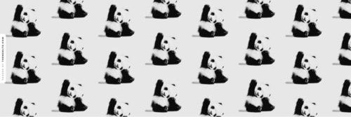 Spens_WRI's profile banner image