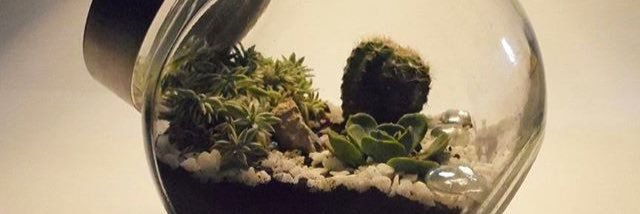 Confi2316's profile banner image