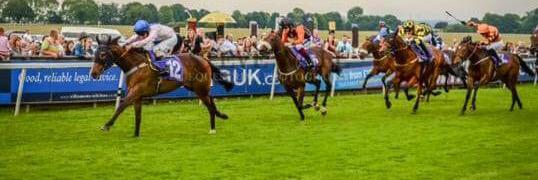 Rosie Gedge-Gibson banner