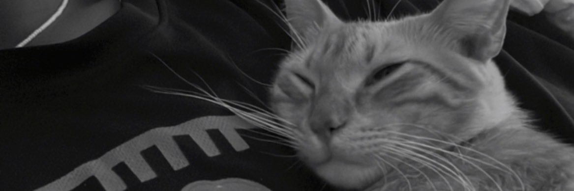 kpatlan8's profile banner image