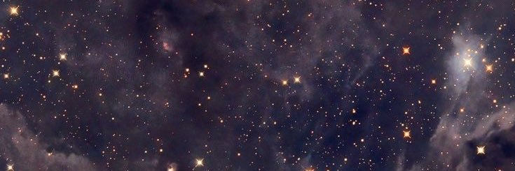 fevollger's profile banner image