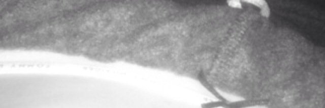brianaluther30's profile banner image