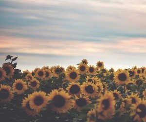 PromoteOSHappy's profile banner image