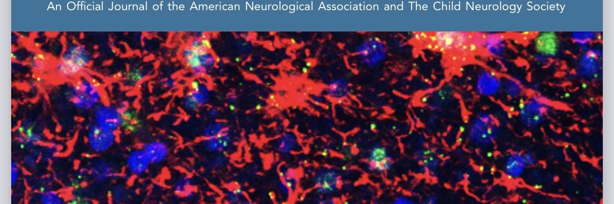 Philip A. Adeniyi banner