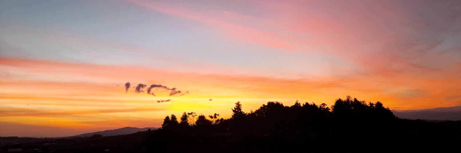 DZUN23's profile banner image