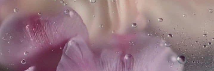 vxnnaa's profile banner image