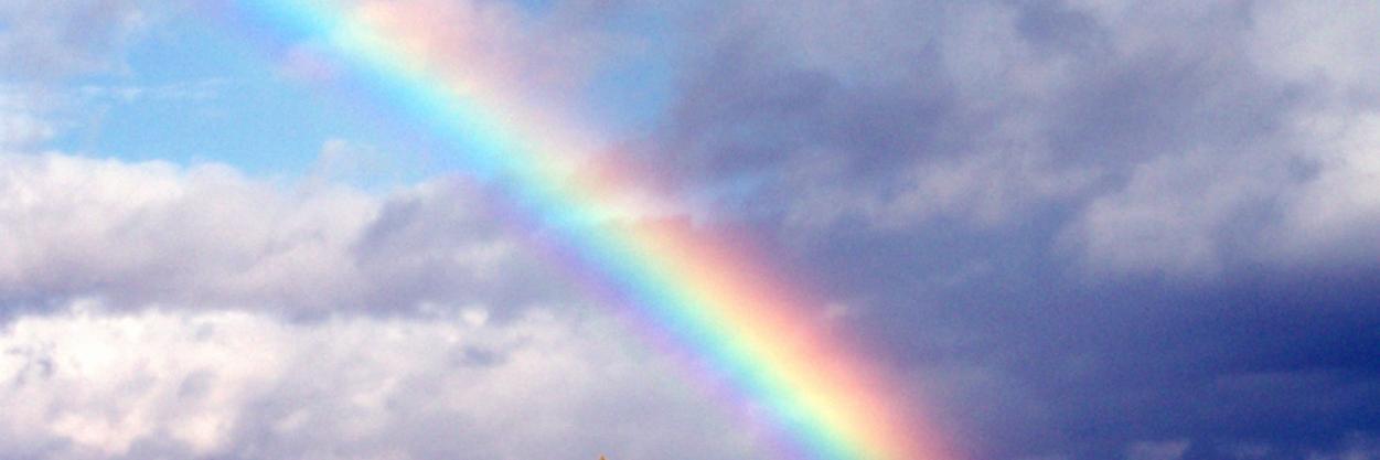 Bunny Bundles banner