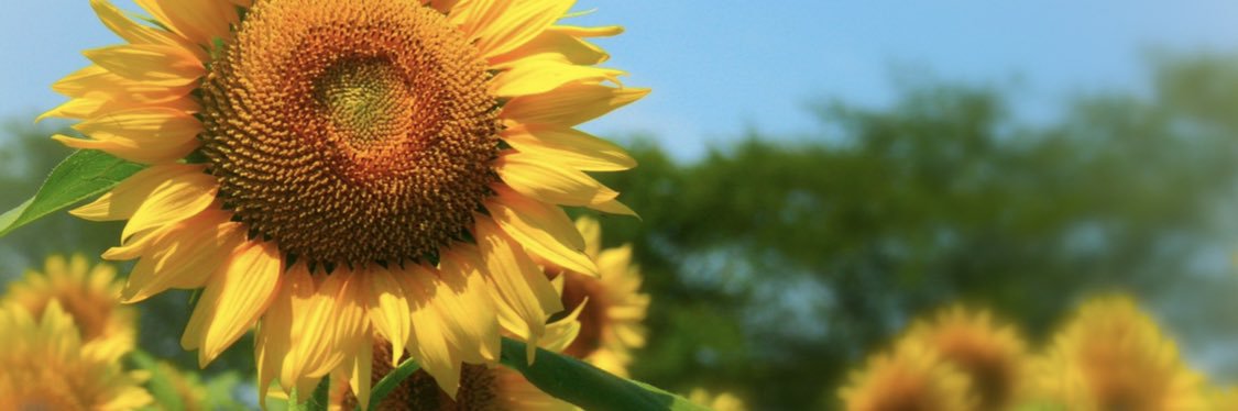 y92935's profile banner image