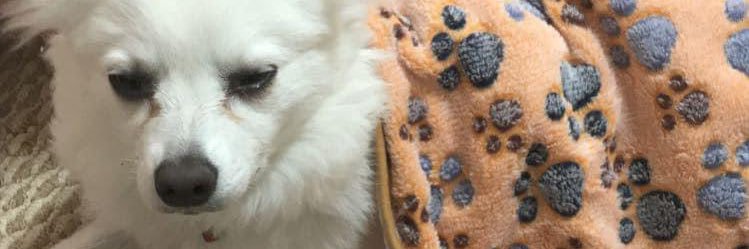 xbrxttany's profile banner image
