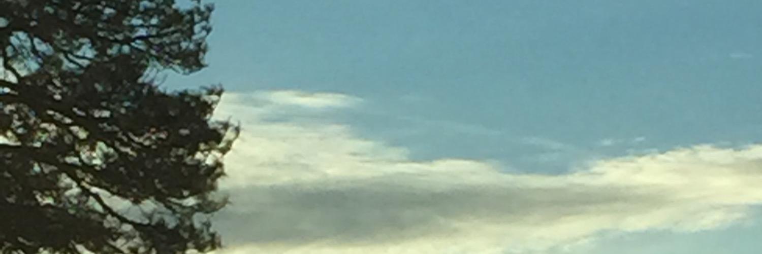 AllumaArts's profile banner image