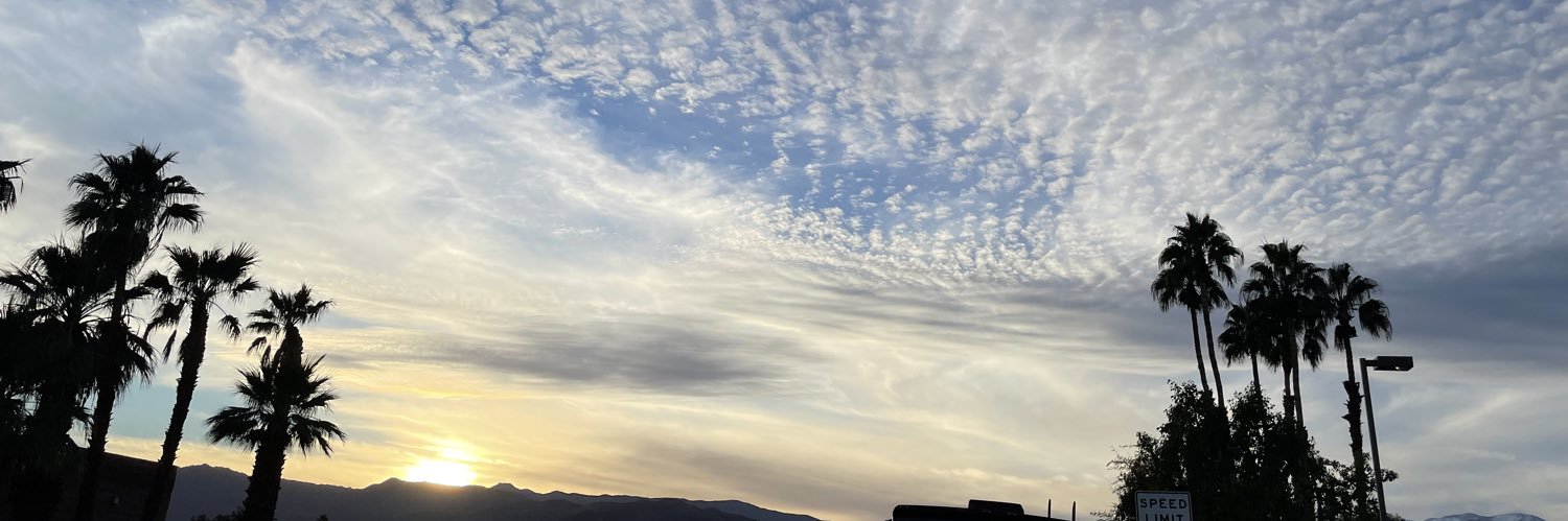 𝐑𝐚𝐧𝐝𝐨𝐠 🐩 banner