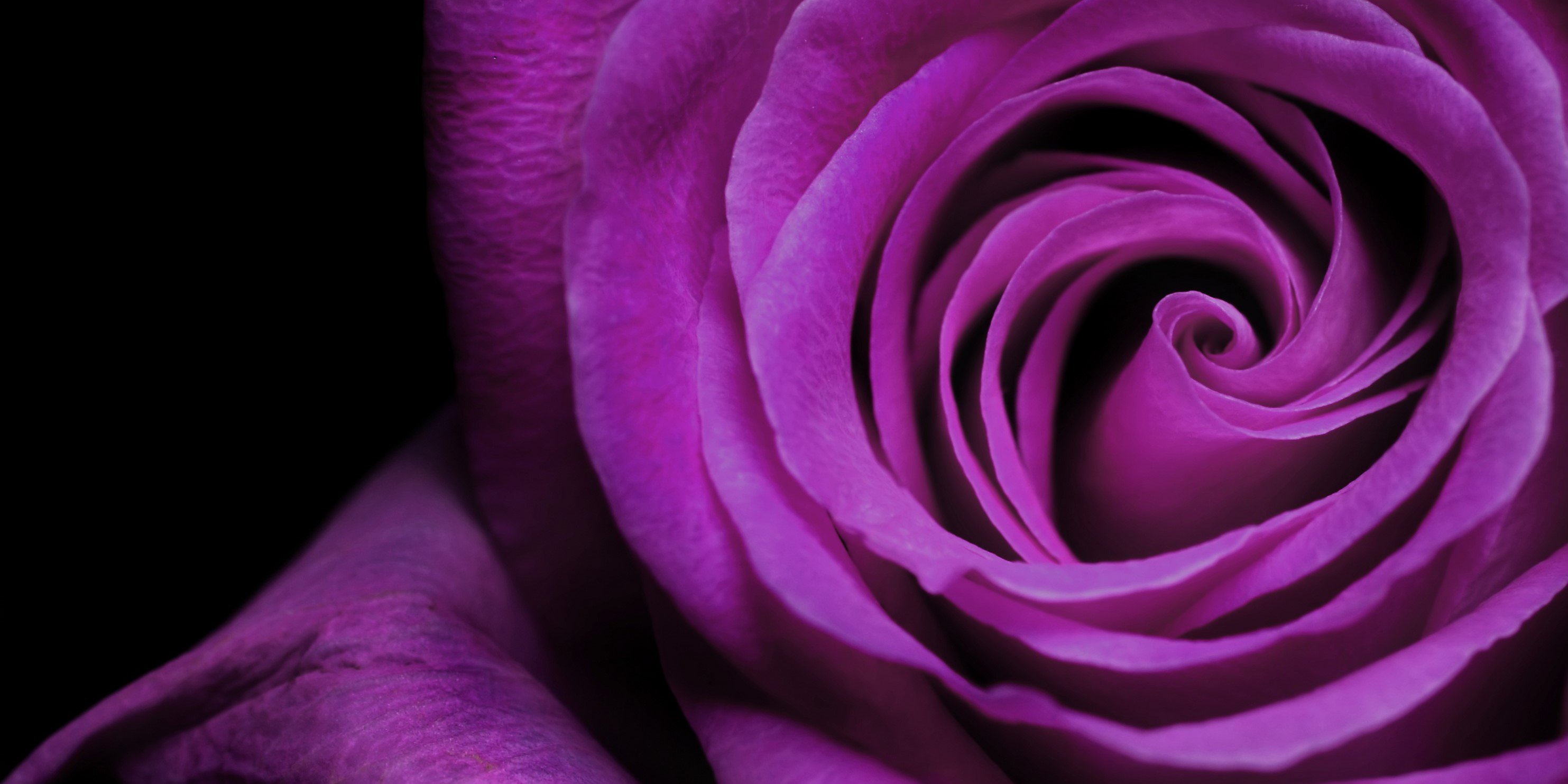 raginitw's profile banner image