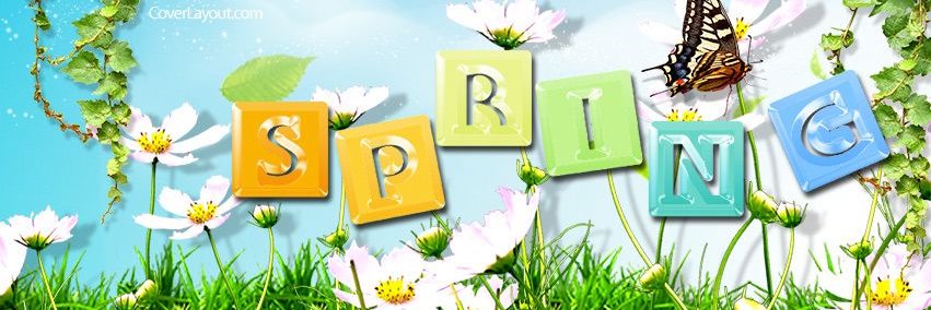 Teresa 🇺🇸 banner