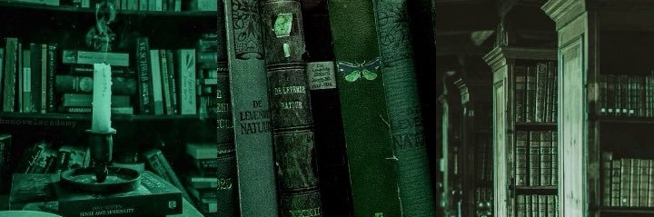 🐍 𝓙𝓮𝓷🐍 banner