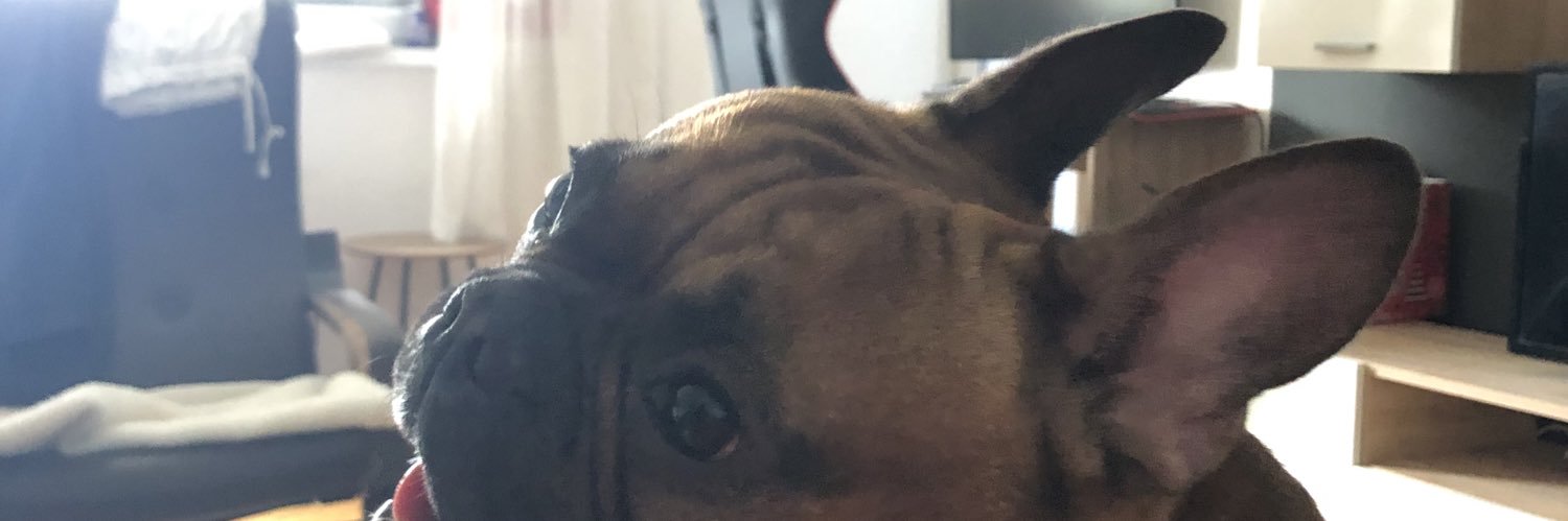 Shakreni's profile banner image