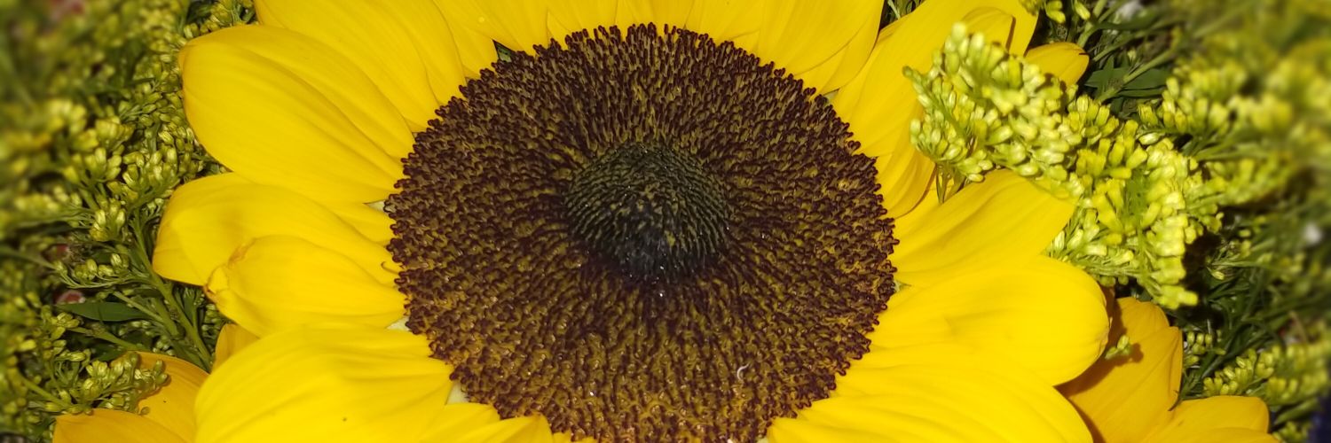 mjdpalma's profile banner image