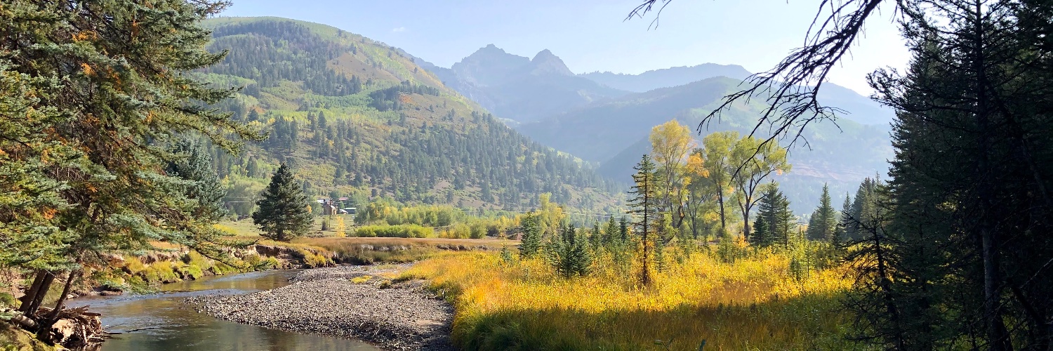 Nick Zasowski banner