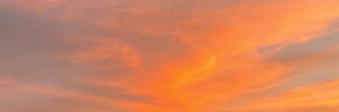 _peony21's profile banner image