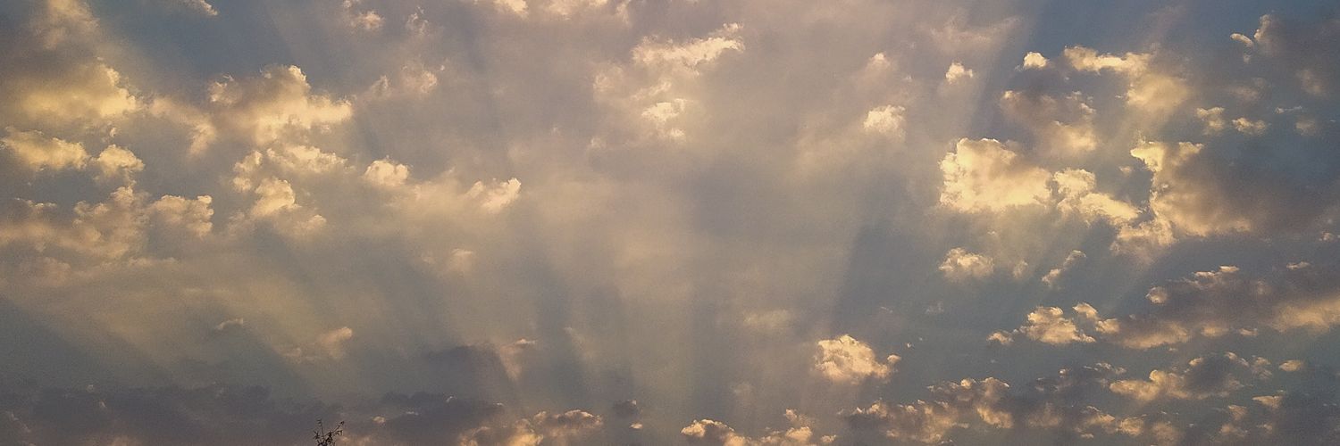 Natasha Pereira banner