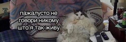 ghost_venus_'s profile banner image